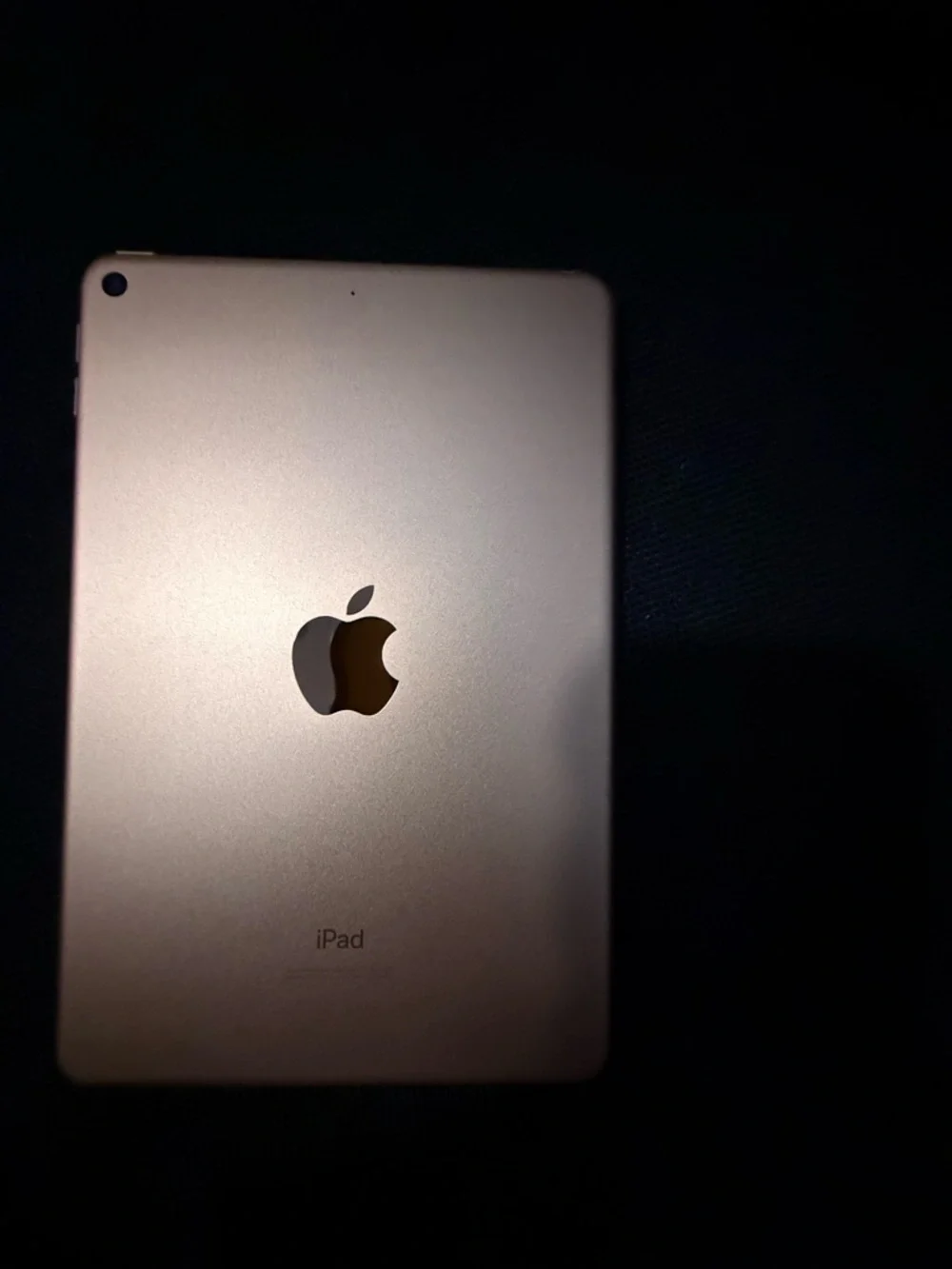 Apple iPad Mini 5th Gen - 64GB